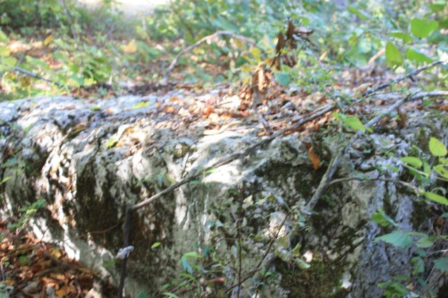 Nekropola sa stećcima na lokalitetu Kose u Crnićima, historijsko područje